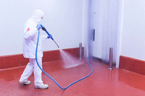 Best Paint Preparation  in Mino, CA